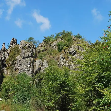 Gruppenfreundliche Villa In Liesen *
