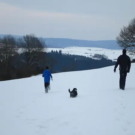 Holiday home Gruppenfreundliche Villa In Liesen Hallenberg