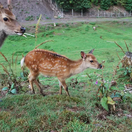 Holiday home Gruppenfreundliche Villa In Liesen
