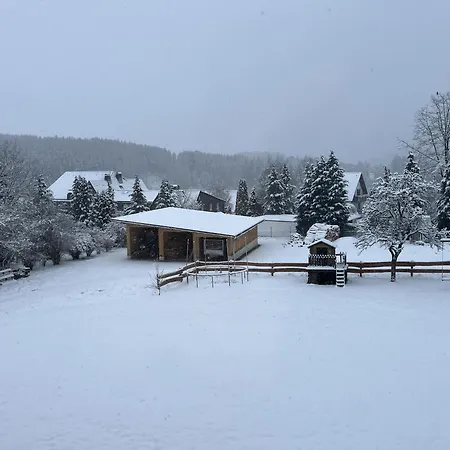Gruppenfreundliche Villa In Liesen
