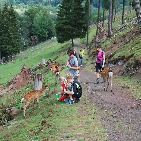 Gruppenfreundliche Villa In Liesen *