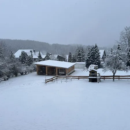 Gruppenfreundliche Villa In Liesen * Hallenberg