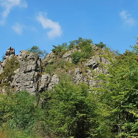 Gruppenfreundliche Villa In Liesen * Hallenberg