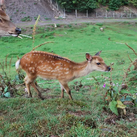 Gruppenfreundliche Villa In Liesen Holiday home