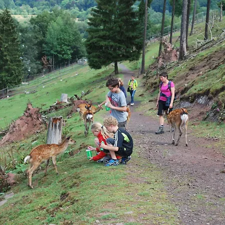 Casa vacanze Gruppenfreundliche In Liesen *
