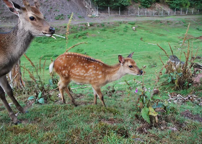Сasa de vacaciones Gruppenfreundliche In Liesen