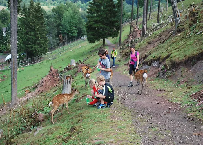 Gruppenfreundliche In Liesen *