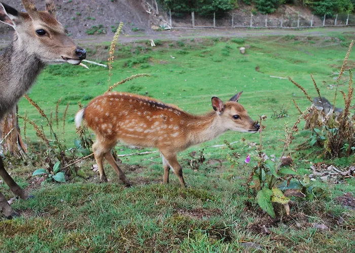 Gruppenfreundliche In Liesen Сasa de vacaciones